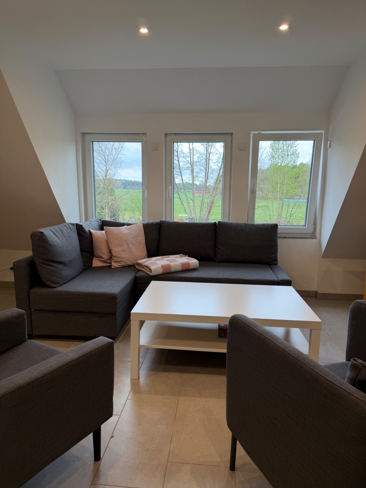 Gereinigtes Wohnzimmer mit Sofa und Blick ins Grüne